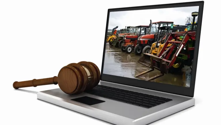 Leilões Online: Por que essa é a nova tendência no Brasil?
